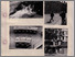 [img]